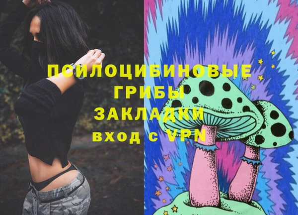 мяу мяу мука Верея